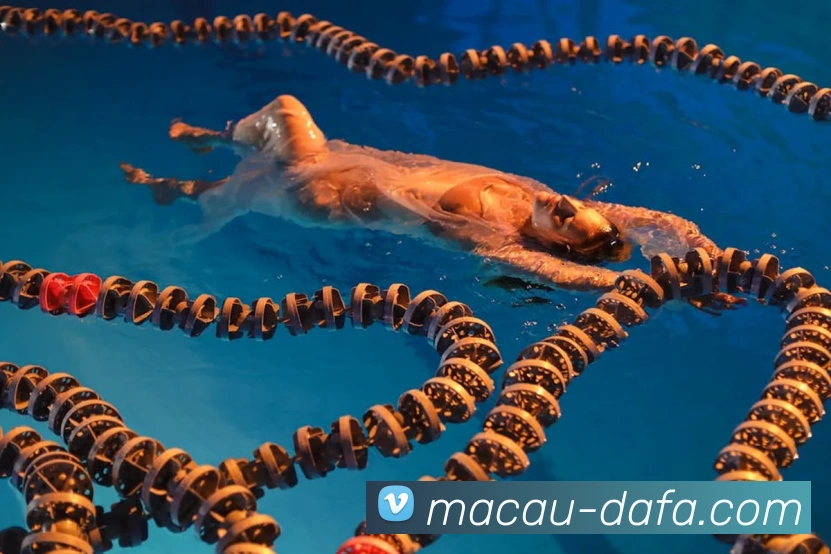 多媒体互动体验